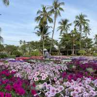 Binh Quoi Tourist Village 