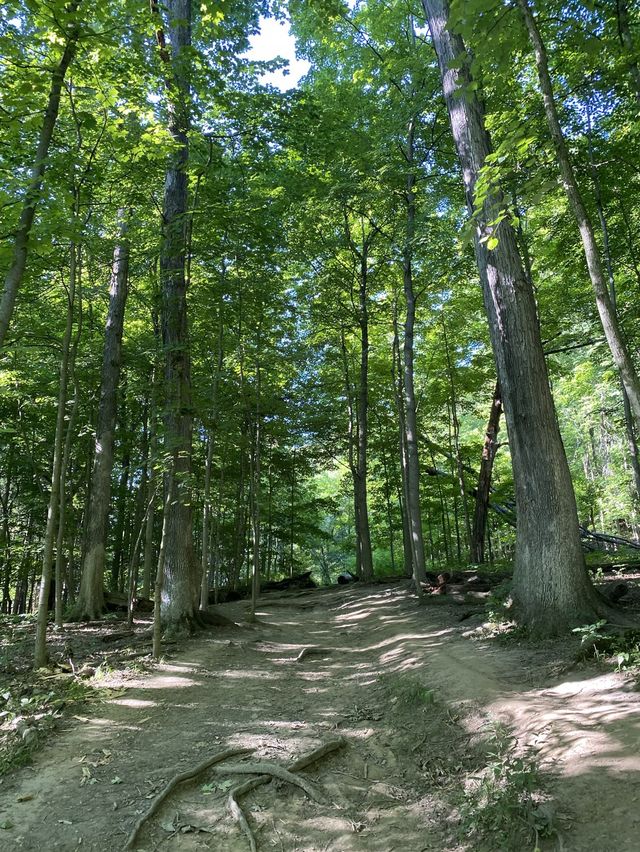 Brandywine Waterfall