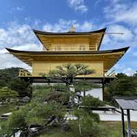 Kinkaku-ji is simply amazing! 