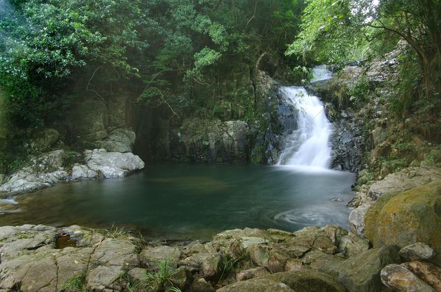 城門水塘輕鬆行山