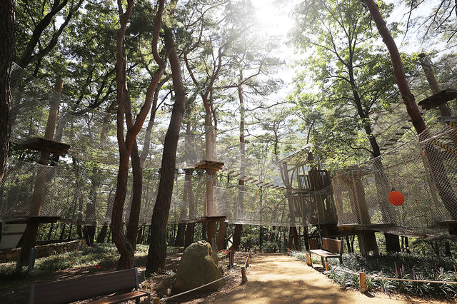 영덕 가볼만한곳 산성계곡공원 어드벤처 