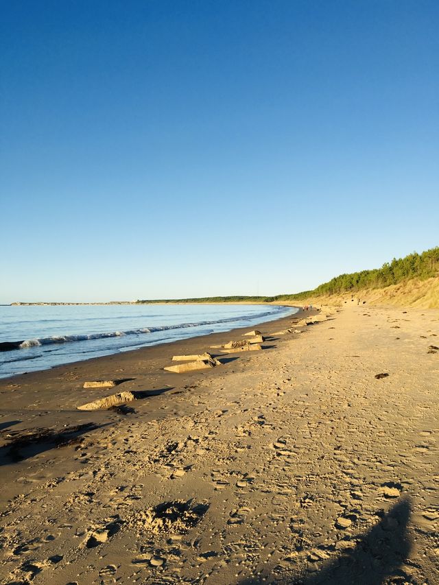 Roseisle Beach, Scotland 🏴󠁧󠁢󠁳󠁣󠁴󠁿🌿