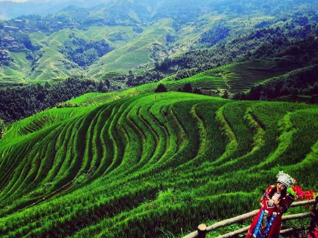 Longji Rice Terraces; a bus ride to remember