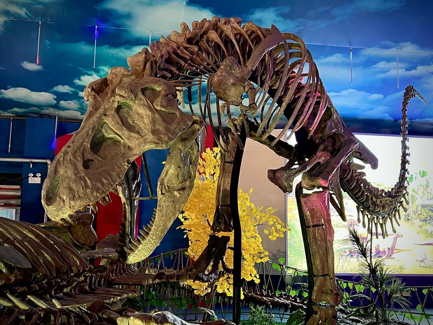 The world's largest dinosaur fossil site, Zhucheng, and the Dinosaur Museum, a travel destination for children