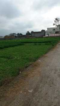 JAMAL PUR JATTAN