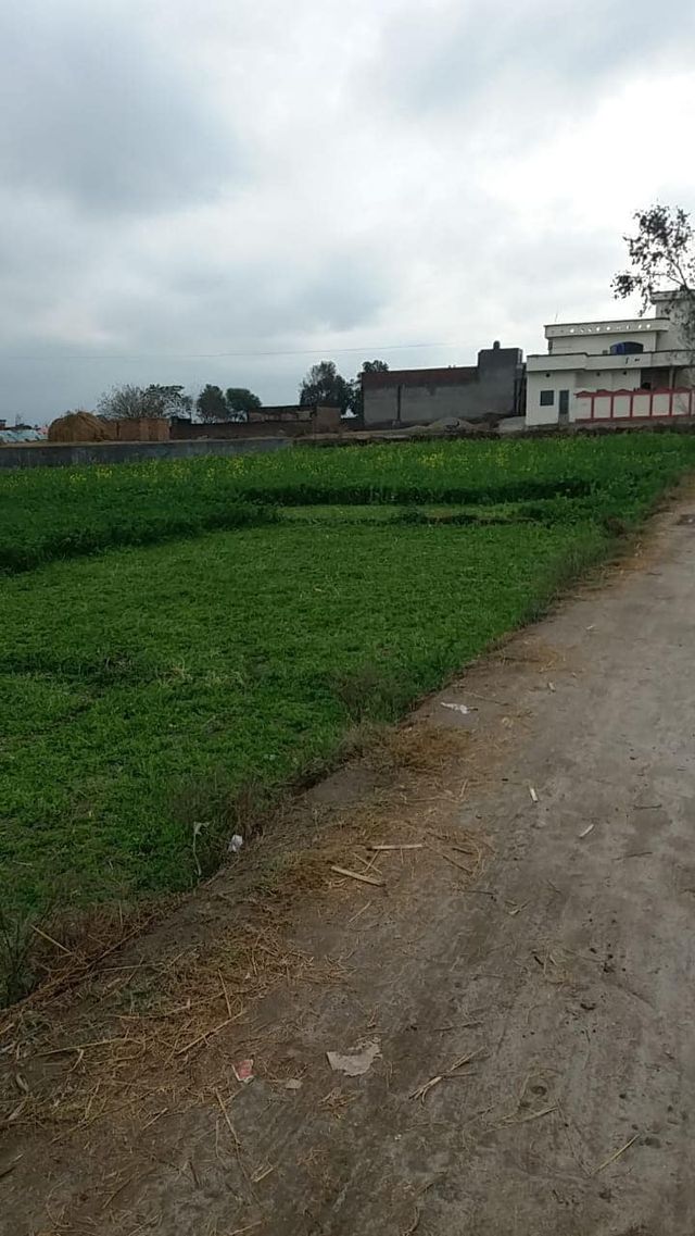JAMAL PUR JATTAN