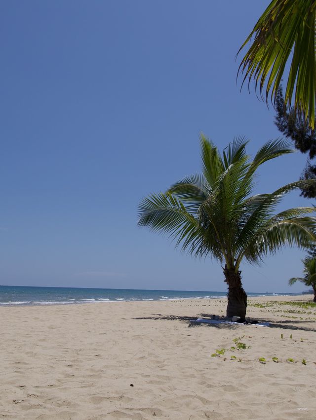 A Beach All to Ourselves