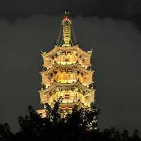 打卡深圳龍華公園的夜景