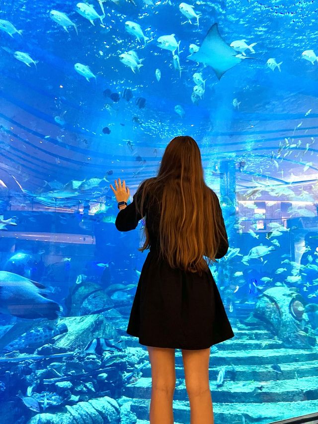 Incredible Aquarium 🐠