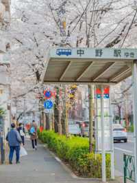 Nakano Ward, Arakawa Yakushi