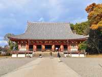 Autumn trip to Kyoto, Japan, enjoy the beauty of Bishamon-do and the red leaves of Daigo-ji Temple.