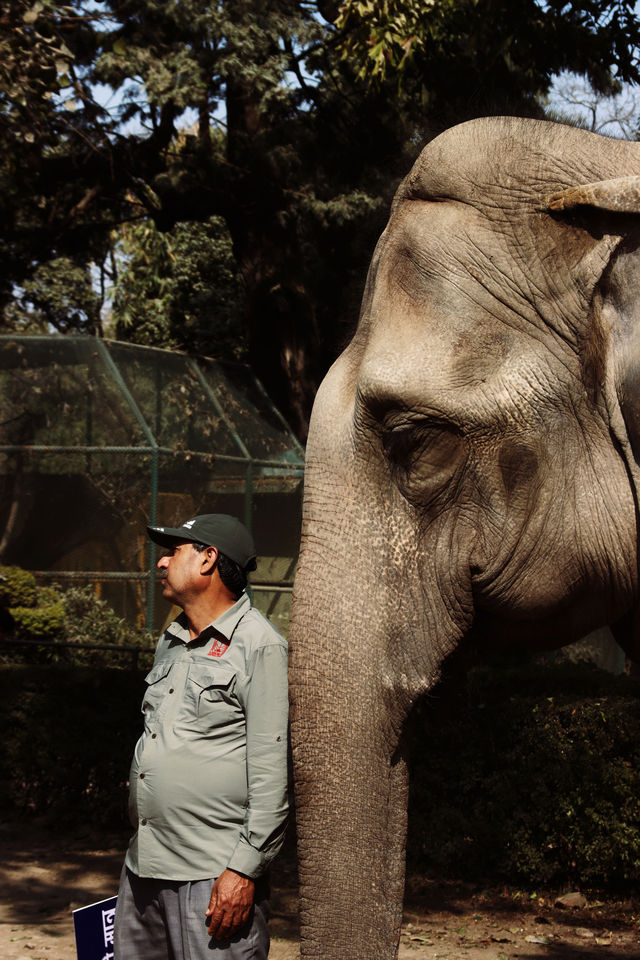 Nepal Kathmandu Central Zoo