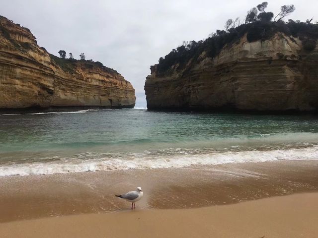 Natural art masterpiece: Twelve Apostles Rock