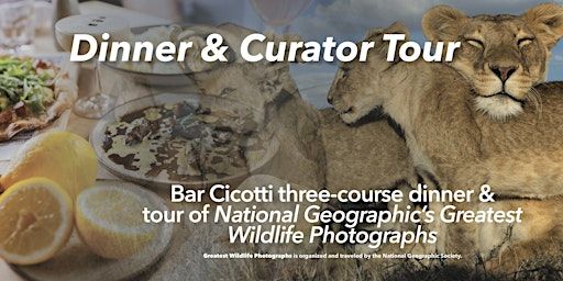 Dinner & Curator Tour of National Geographic’s Greatest Wildlife Photos | 250 Flora St