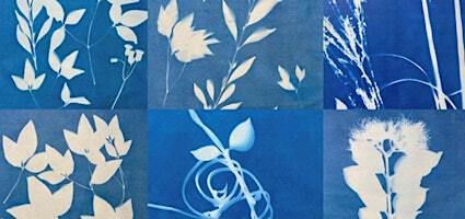 Adult's workshop | Cyanotype photographic printing | Logan Art Gallery