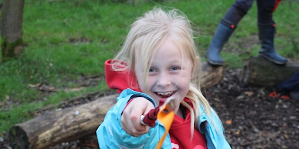 Woodland Fairytale Adventure at The Hive – 29/5/25 | The Hive at Moss Bank Park