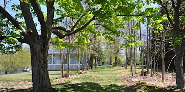 Discover McNabs Island: North End Heritage Tour -  August 3, 2025, 9:30 AM | McNabs and Lawlor Islands Provincial Park