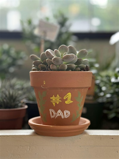 Father's Day Paint & Plant | Port Kells Nurseries