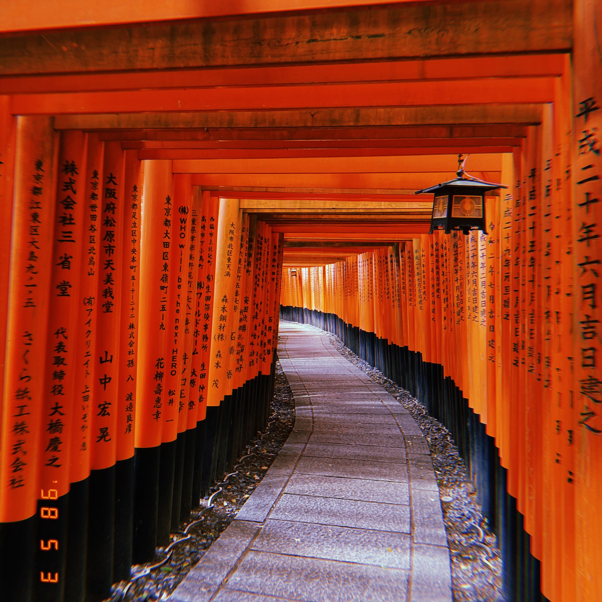 千本鳥居 Trip Com Kyoto Travelogues