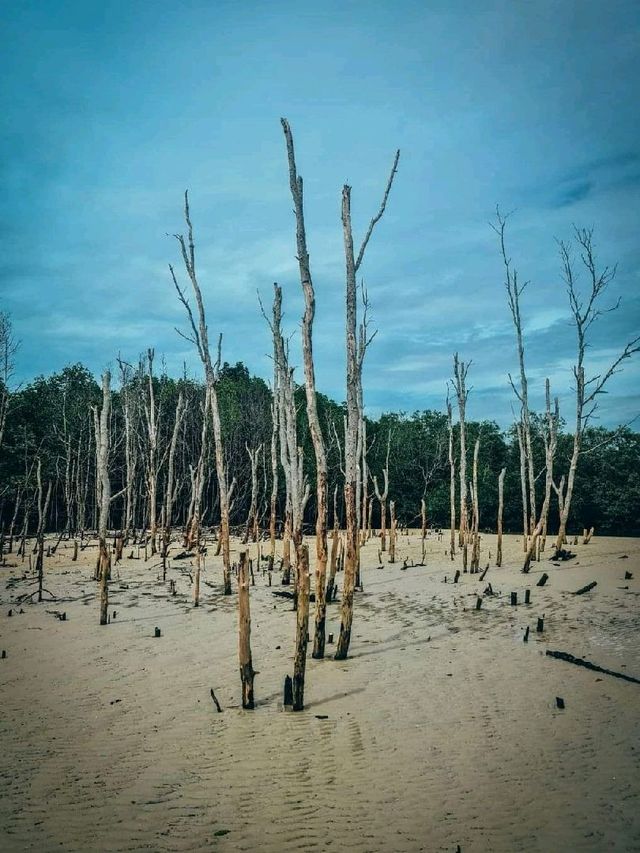 Bagan Lalang, Sepang