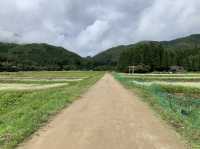 【大自然】清々しく荘厳な雰囲気！？