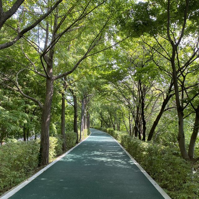서울 양재천: 가을을 맞아 산책가기 좋은 곳