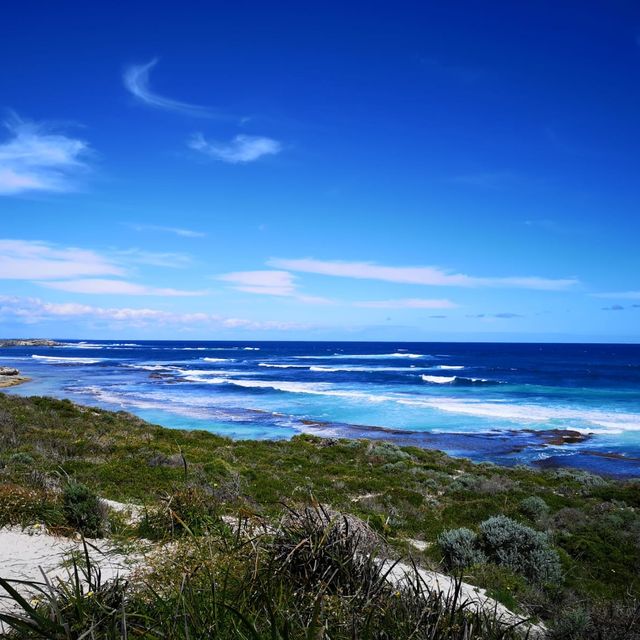 Rottnest island 