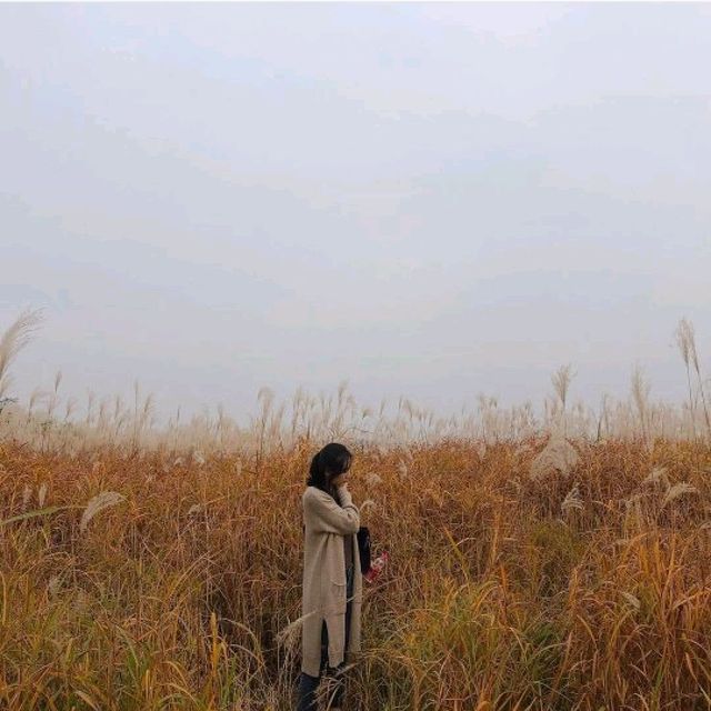 서울근교 가을여행지, 시흥으로 떠나요🌾🍂
