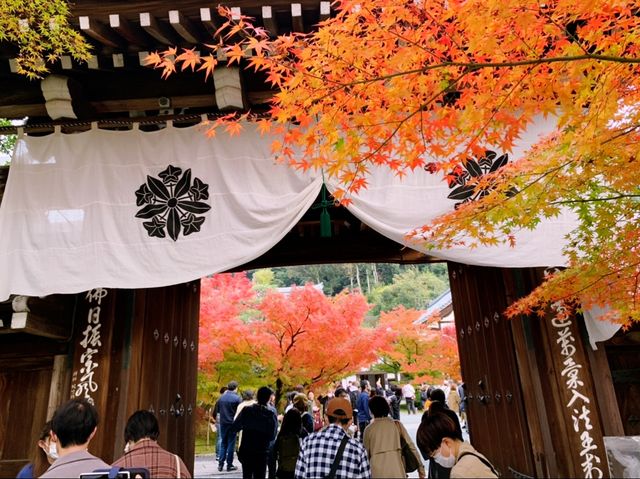 京都[紅葉めぐり]  永観堂(禅林寺)  圧巻の堂内編