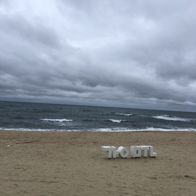 [강릉 여행] 강문해변 앞 귀여운 소품샵🧸