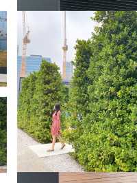 九龍區新公園🍃