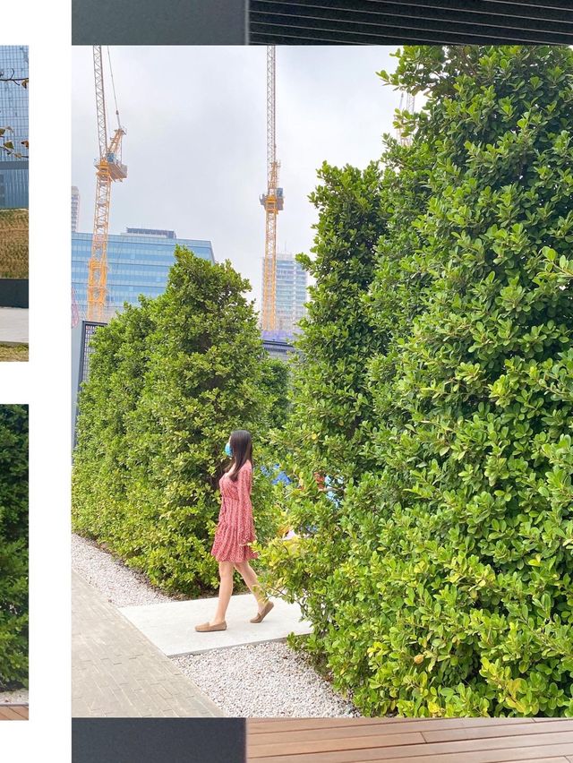九龍區新公園🍃