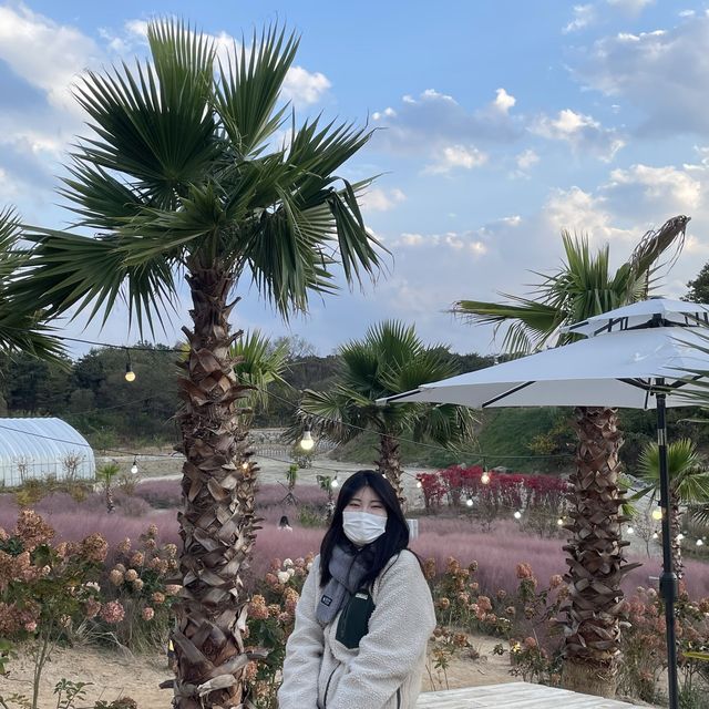 강원도 강릉시 호린파크에서 해외를 느껴보세요