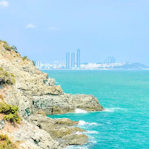 🌼봄이 찾아 온 부산