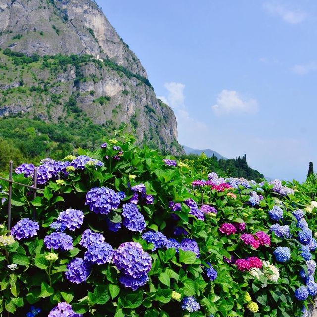 從山上欣賞科莫湖湖光山色