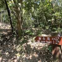 【假子親子遊】與孩子森林漫步 🌳