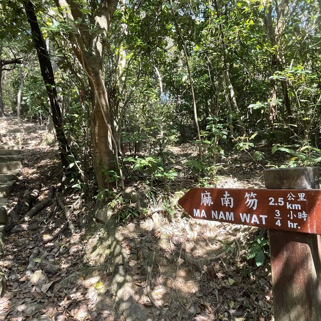 【假子親子遊】與孩子森林漫步 🌳