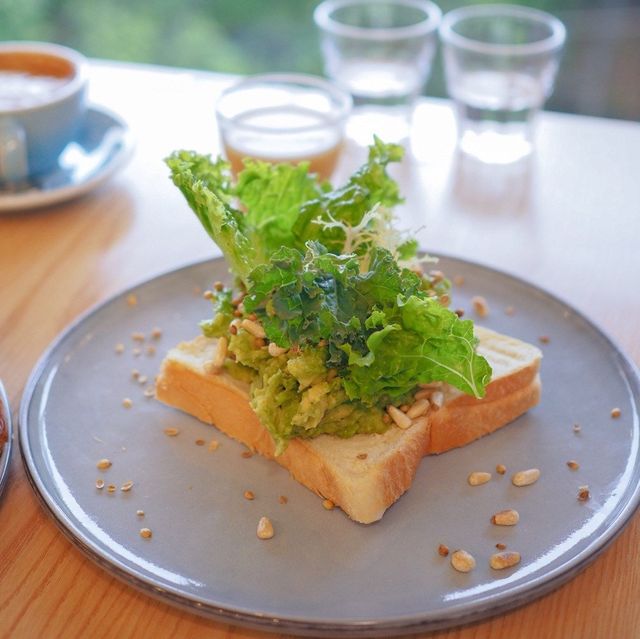 鬧市中綠林風景Cafe