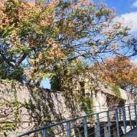 鶯歌陶瓷博物館 全家出遊散心的好去處