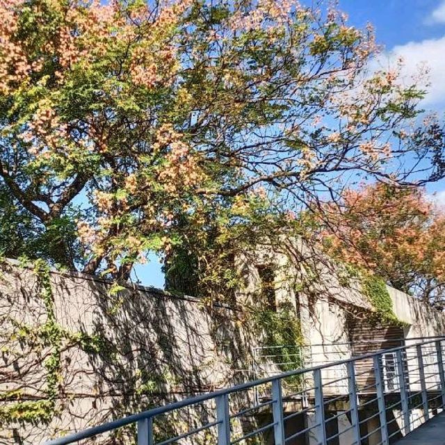 鶯歌陶瓷博物館 全家出遊散心的好去處