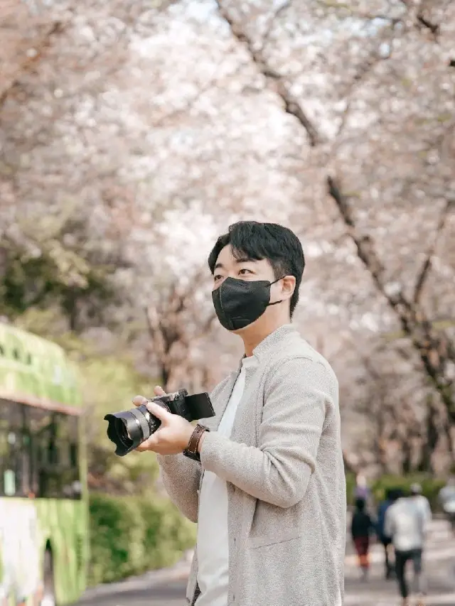 🌸벚꽃이 남아있었던, 남산타워 벚꽃 축제 이벤트
소개드립니다!