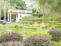 青衣公園