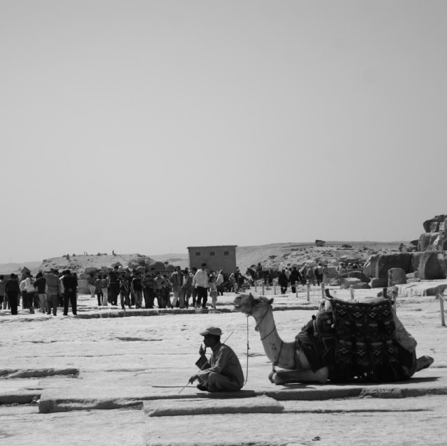 Camel riding in Giza Pyramid complex