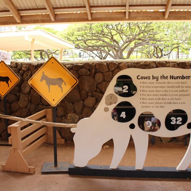 【ハワイ】遊びながら学べるホノルル動物園