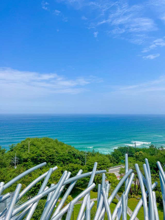 하슬라아트월드 강릉여행 필수 포토존💙🌊