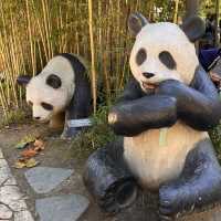 韓国【エバーランド】パンダワールド🐼🌿