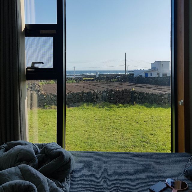 제주도 동쪽 1인 게스트하우스 추천💚