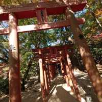 竈門神社