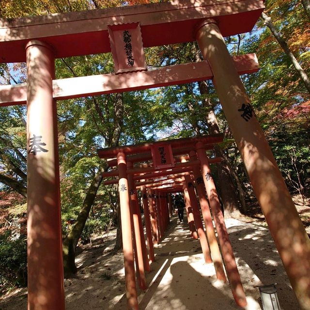 竈門神社