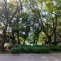 城市中一片靜土~屯門公園